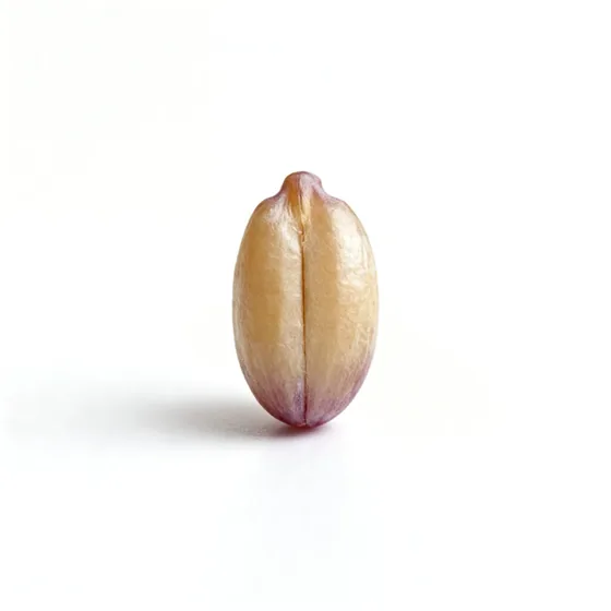 Grapes and grape seed