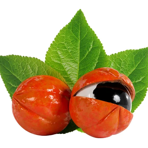 Guarana seeds
